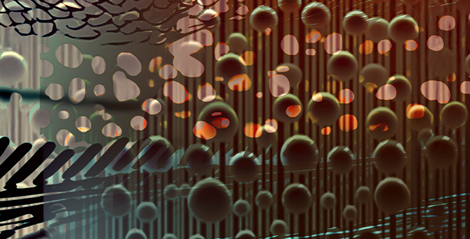 test hero images_0003_revised fish